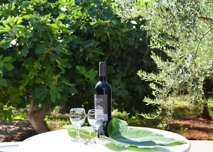 Tatil Evi Kastro-kardamili Kardamyli